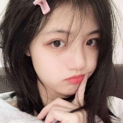 蒂科与鲨鱼